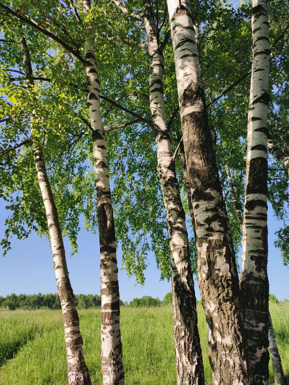 Праздники: церковный календарь